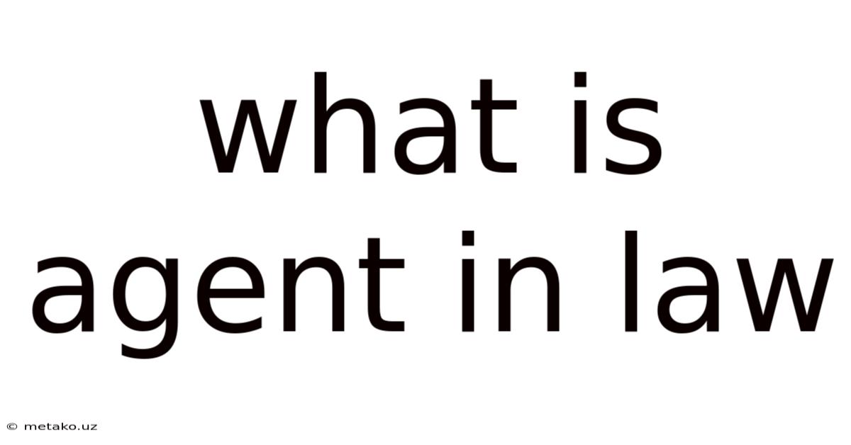 What Is Agent In Law
