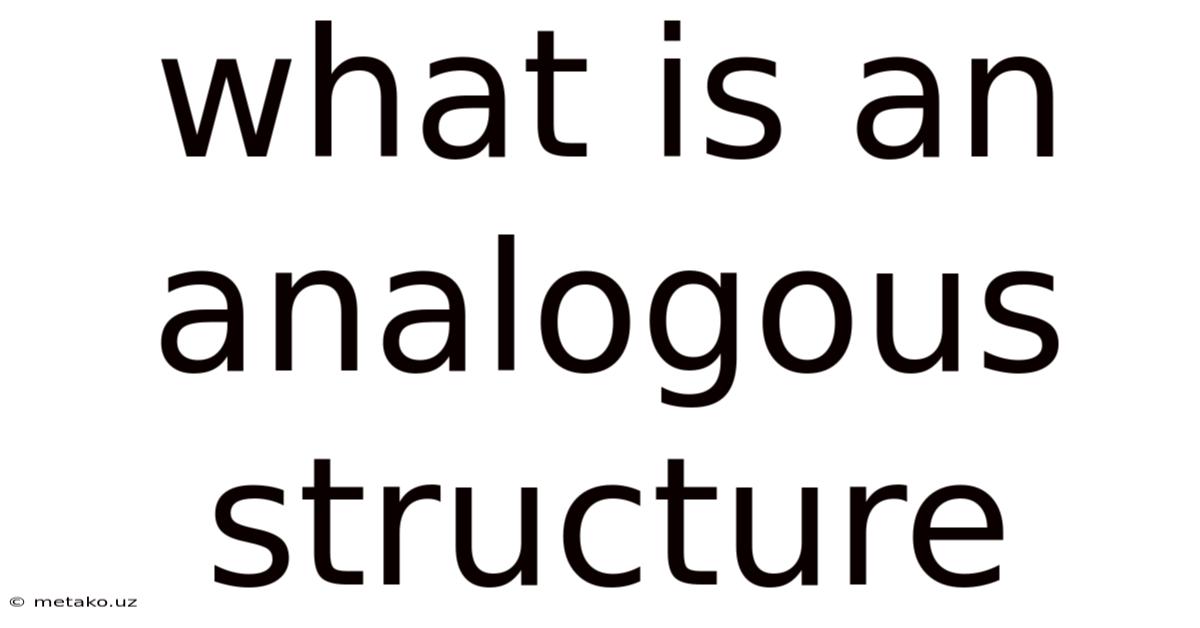 What Is An Analogous Structure