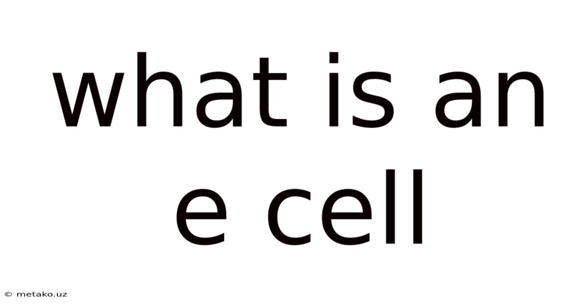 What Is An E Cell