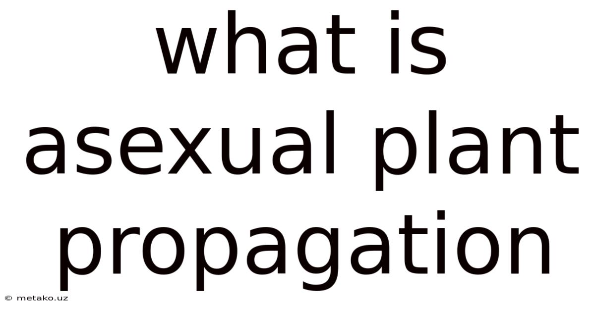What Is Asexual Plant Propagation