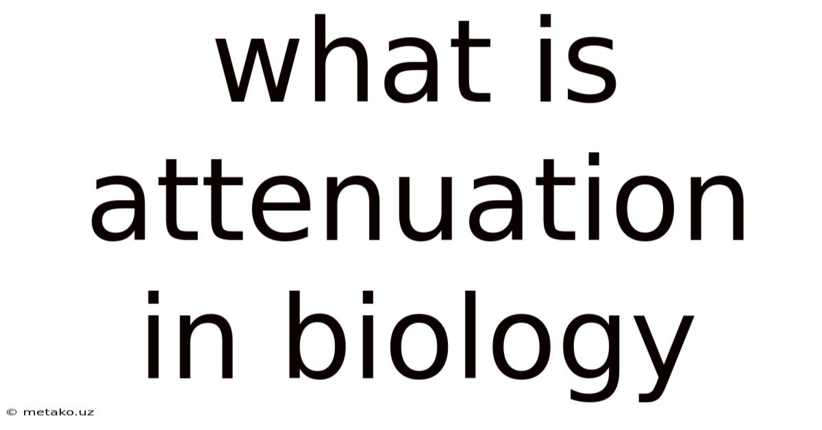 What Is Attenuation In Biology