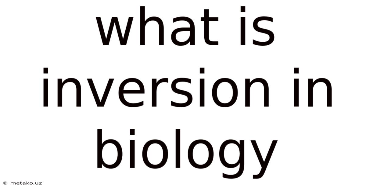 What Is Inversion In Biology