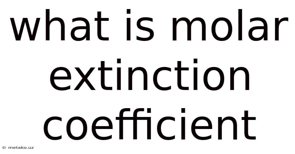 What Is Molar Extinction Coefficient