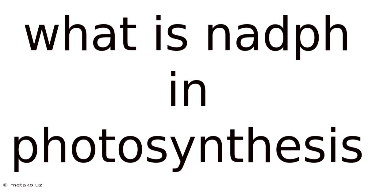 What Is Nadph In Photosynthesis