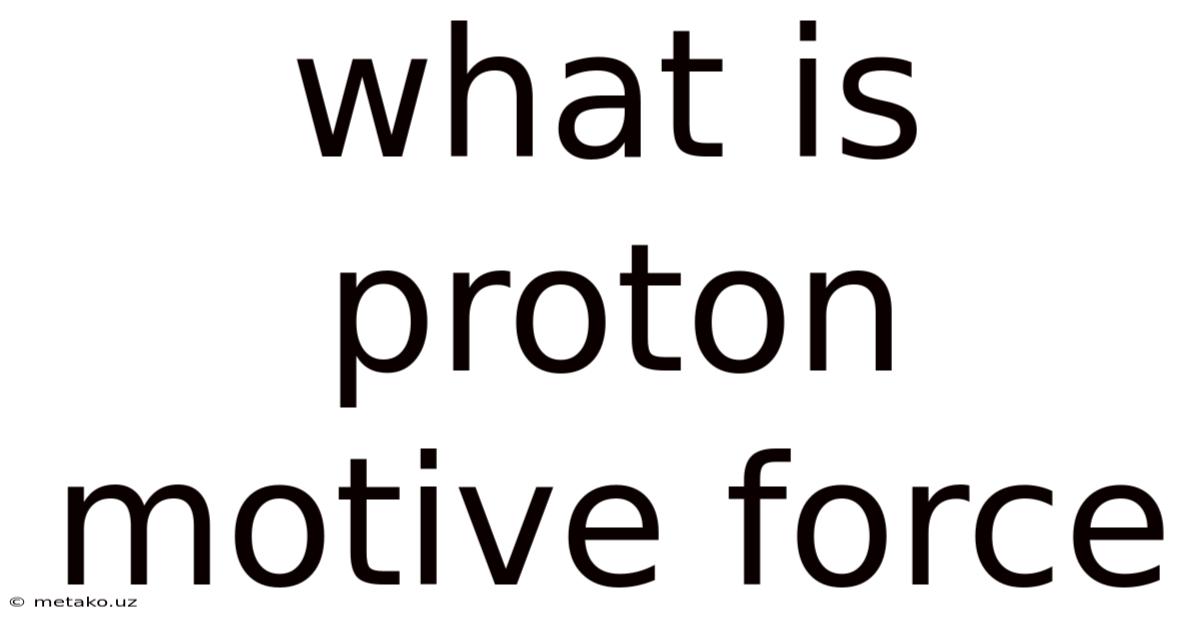 What Is Proton Motive Force