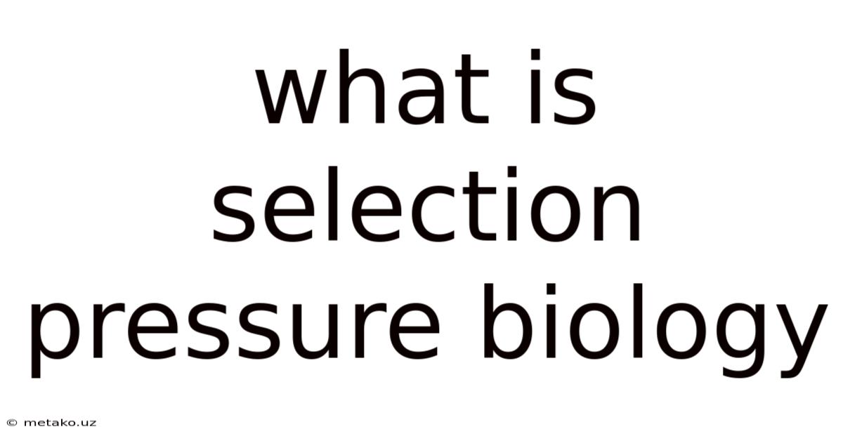 What Is Selection Pressure Biology