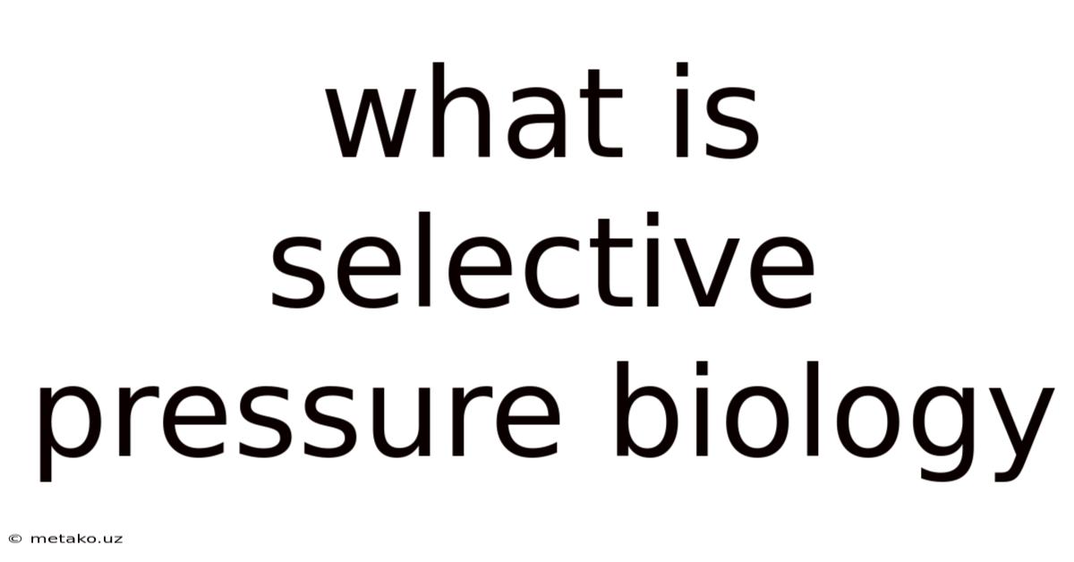 What Is Selective Pressure Biology