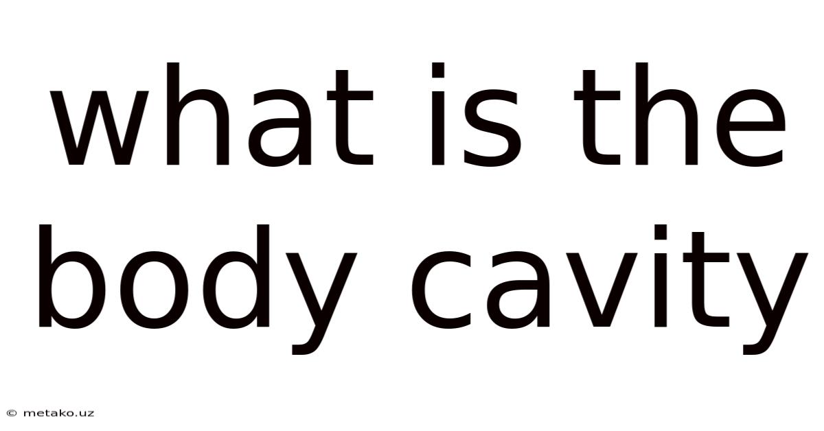 What Is The Body Cavity