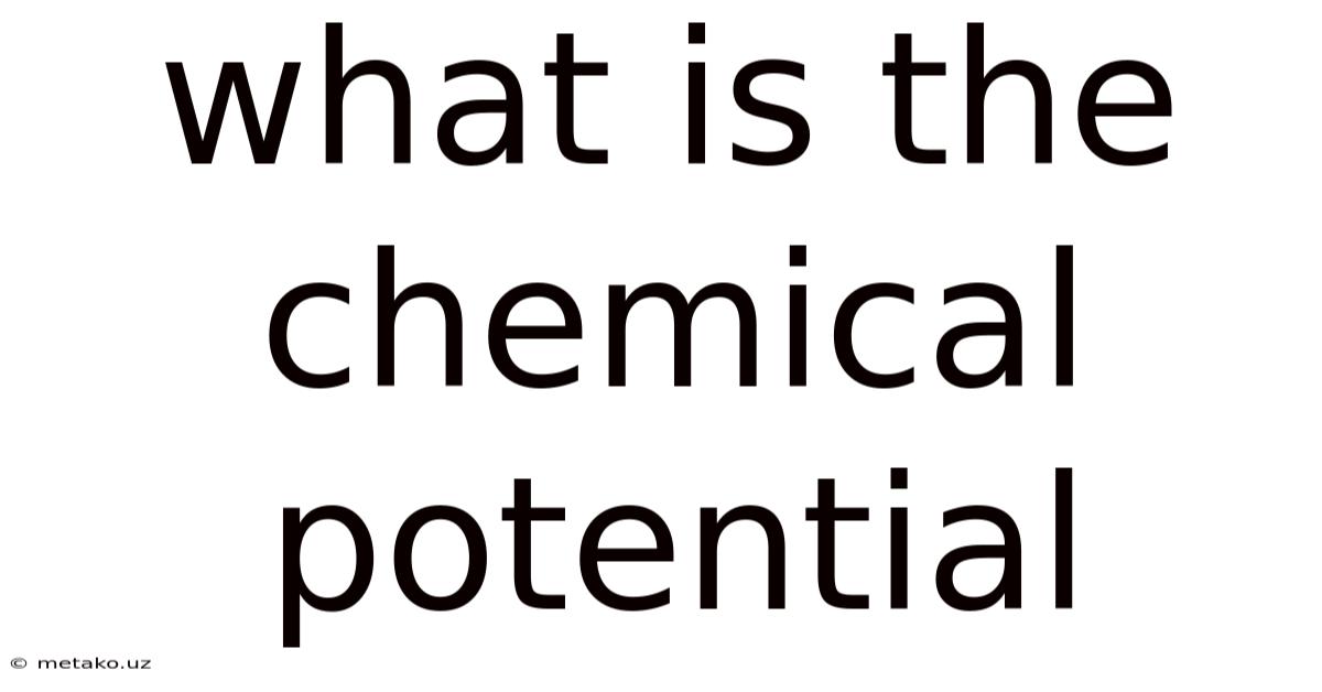 What Is The Chemical Potential