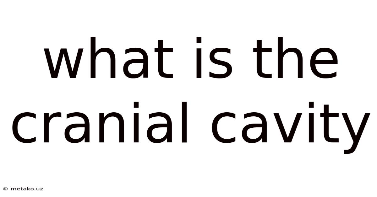 What Is The Cranial Cavity