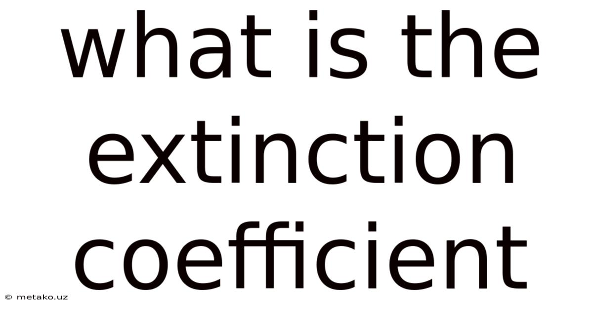 What Is The Extinction Coefficient