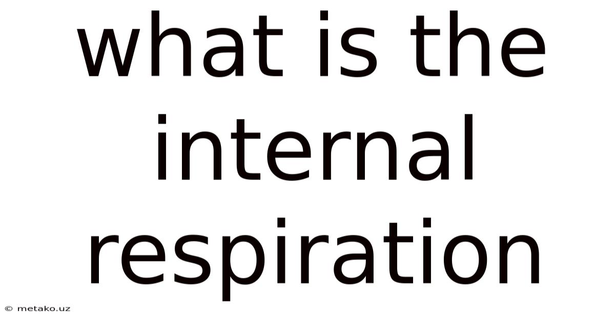 What Is The Internal Respiration