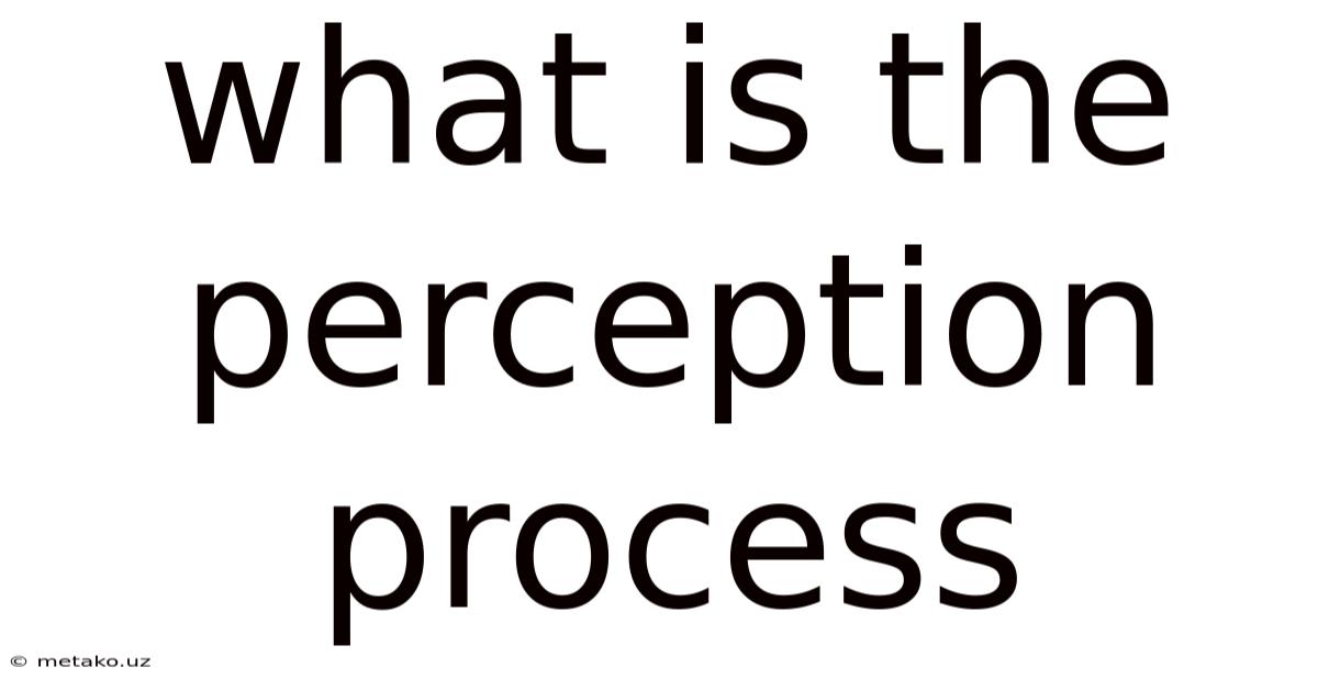 What Is The Perception Process