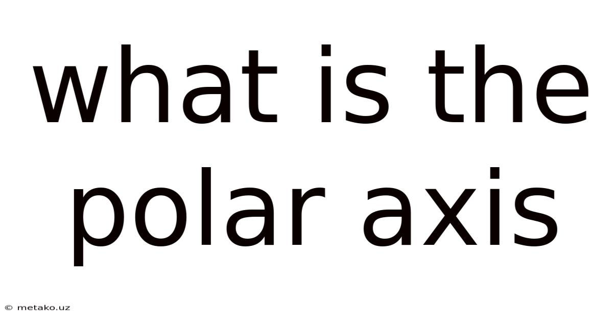 What Is The Polar Axis