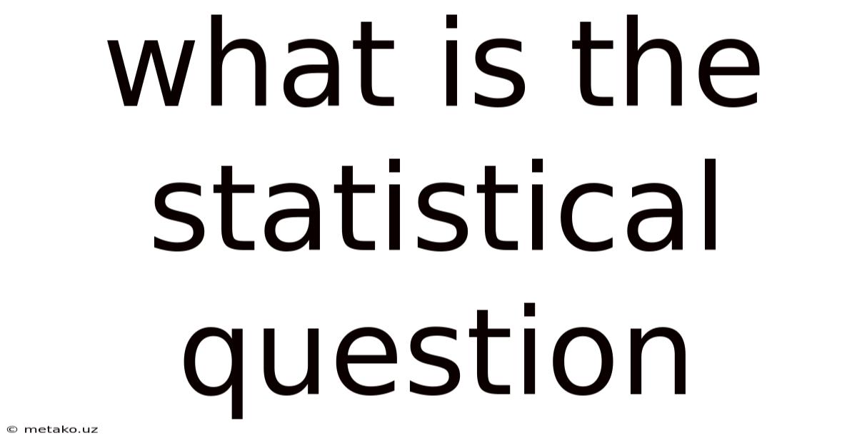 What Is The Statistical Question