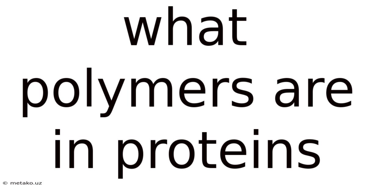 What Polymers Are In Proteins