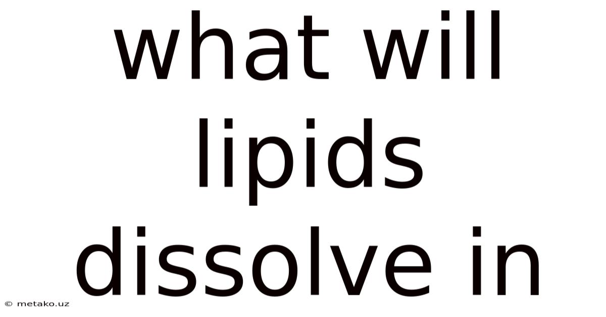What Will Lipids Dissolve In