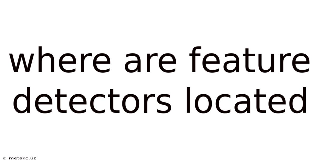 Where Are Feature Detectors Located