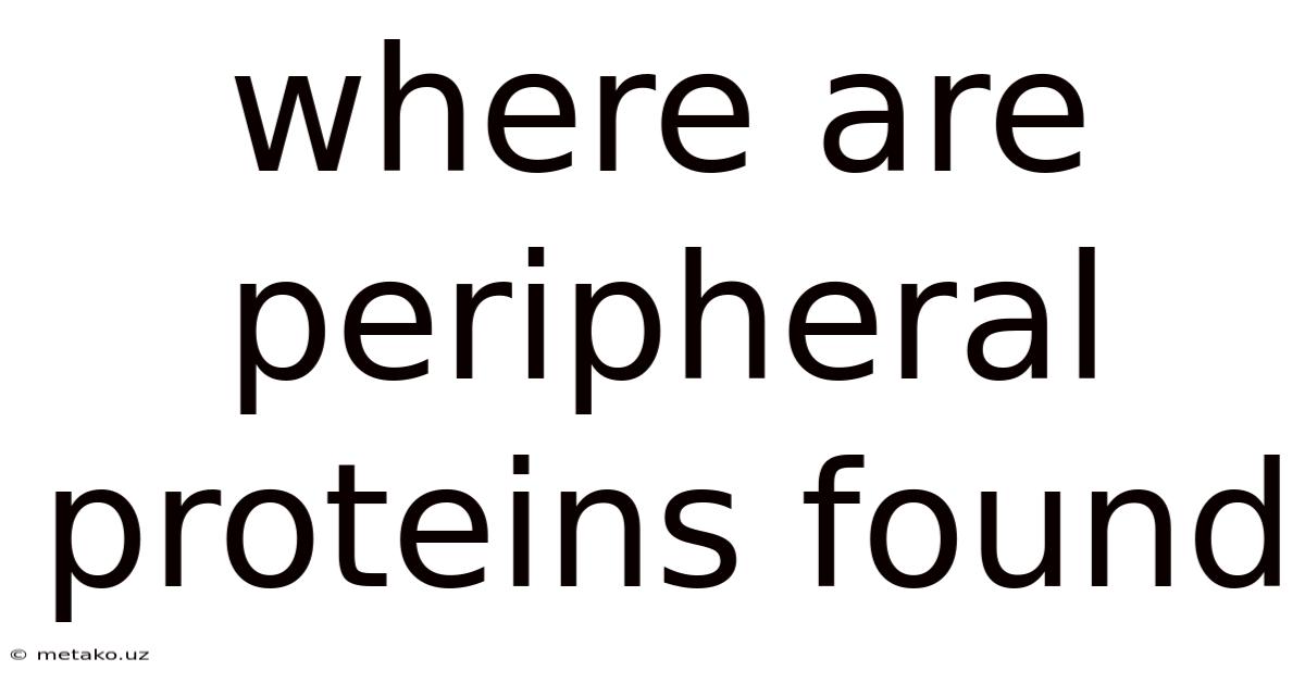 Where Are Peripheral Proteins Found