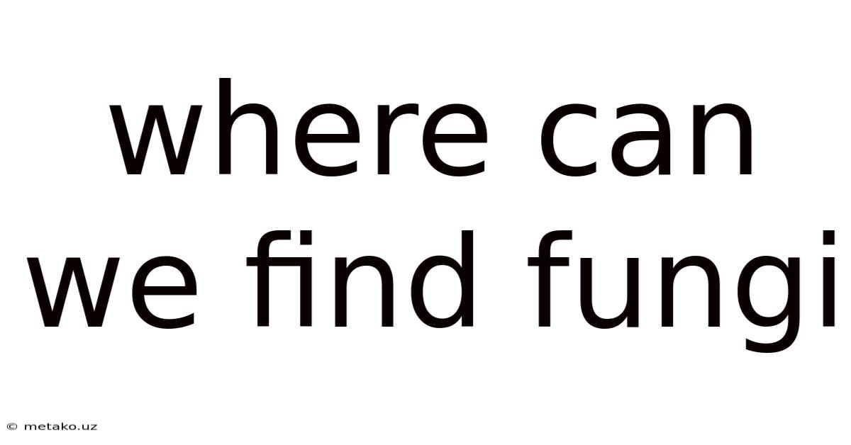 Where Can We Find Fungi