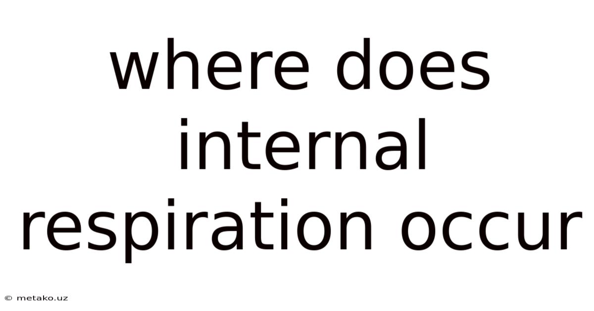 Where Does Internal Respiration Occur
