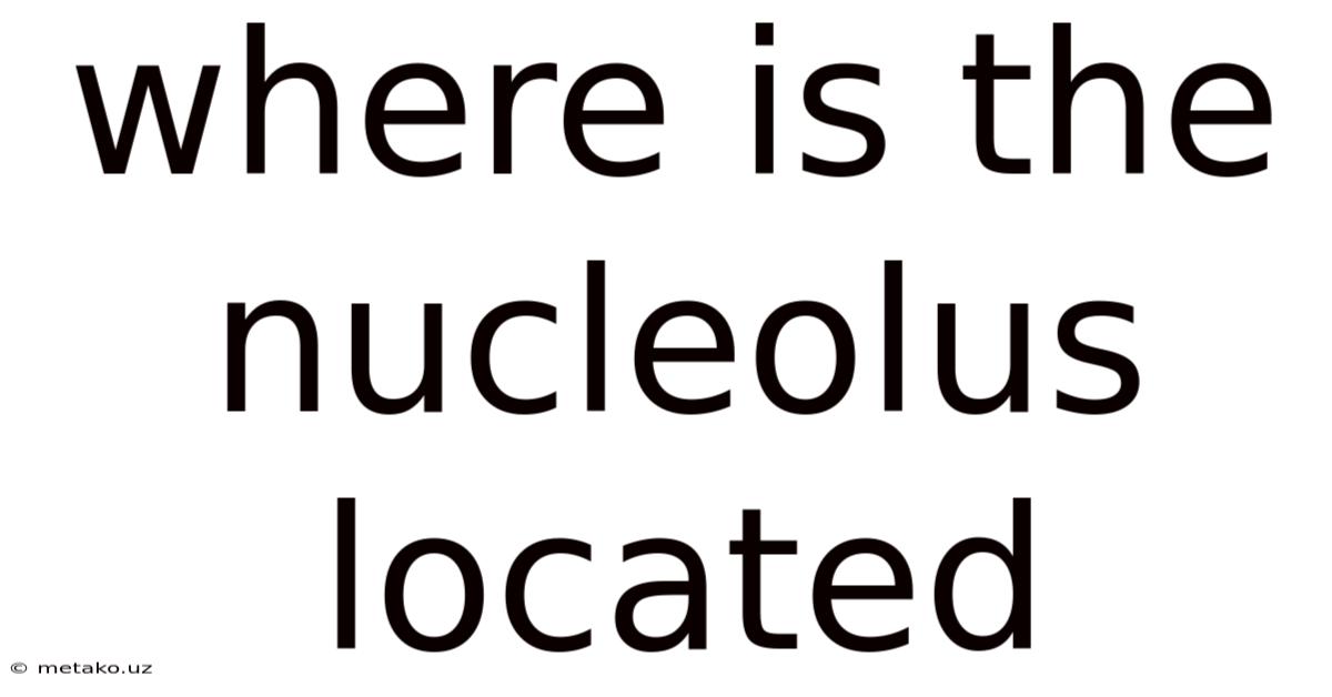 Where Is The Nucleolus Located