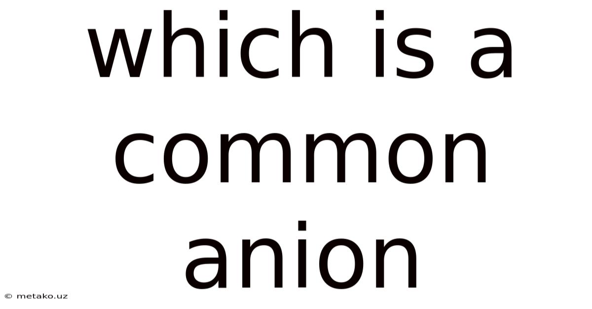 Which Is A Common Anion