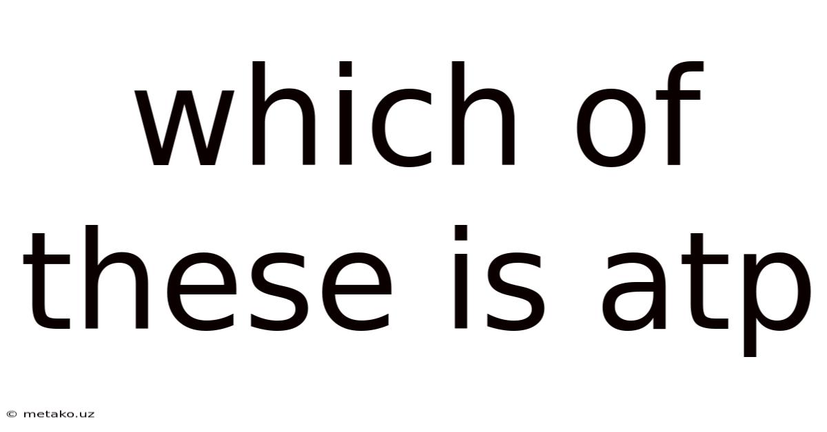 Which Of These Is Atp