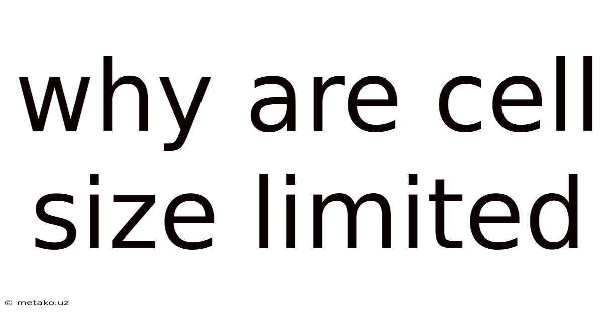 Why Are Cell Size Limited