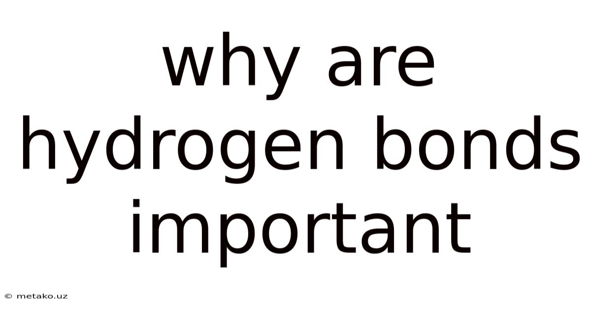 Why Are Hydrogen Bonds Important