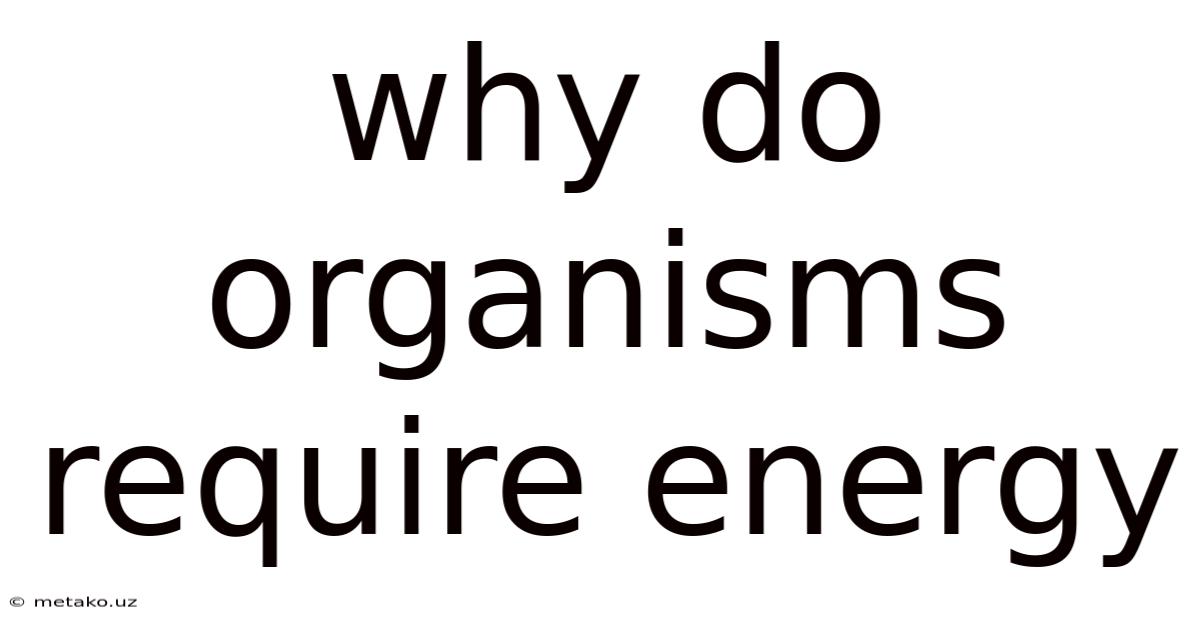 Why Do Organisms Require Energy