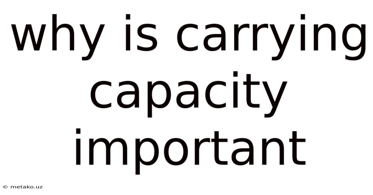 Why Is Carrying Capacity Important