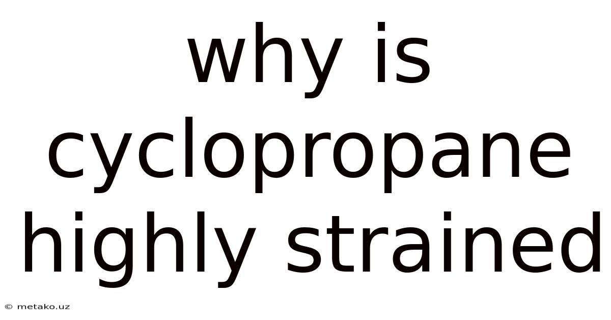 Why Is Cyclopropane Highly Strained