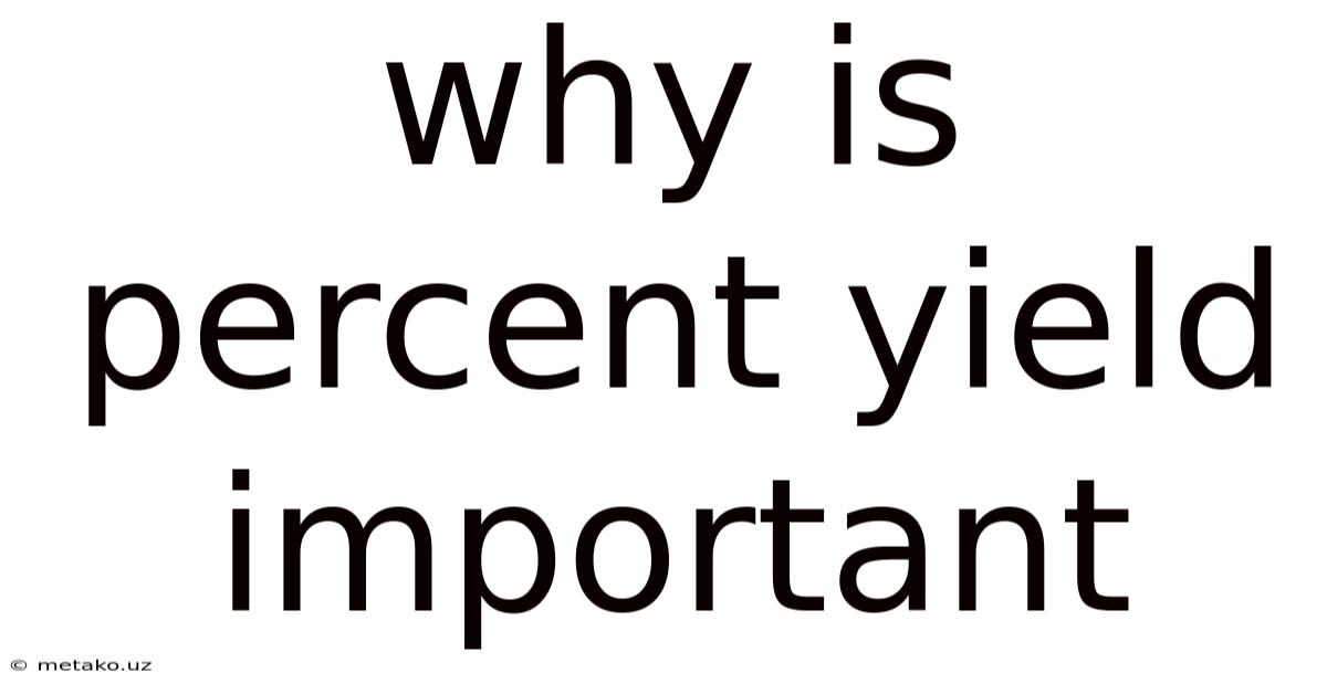 Why Is Percent Yield Important