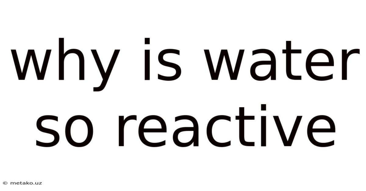 Why Is Water So Reactive