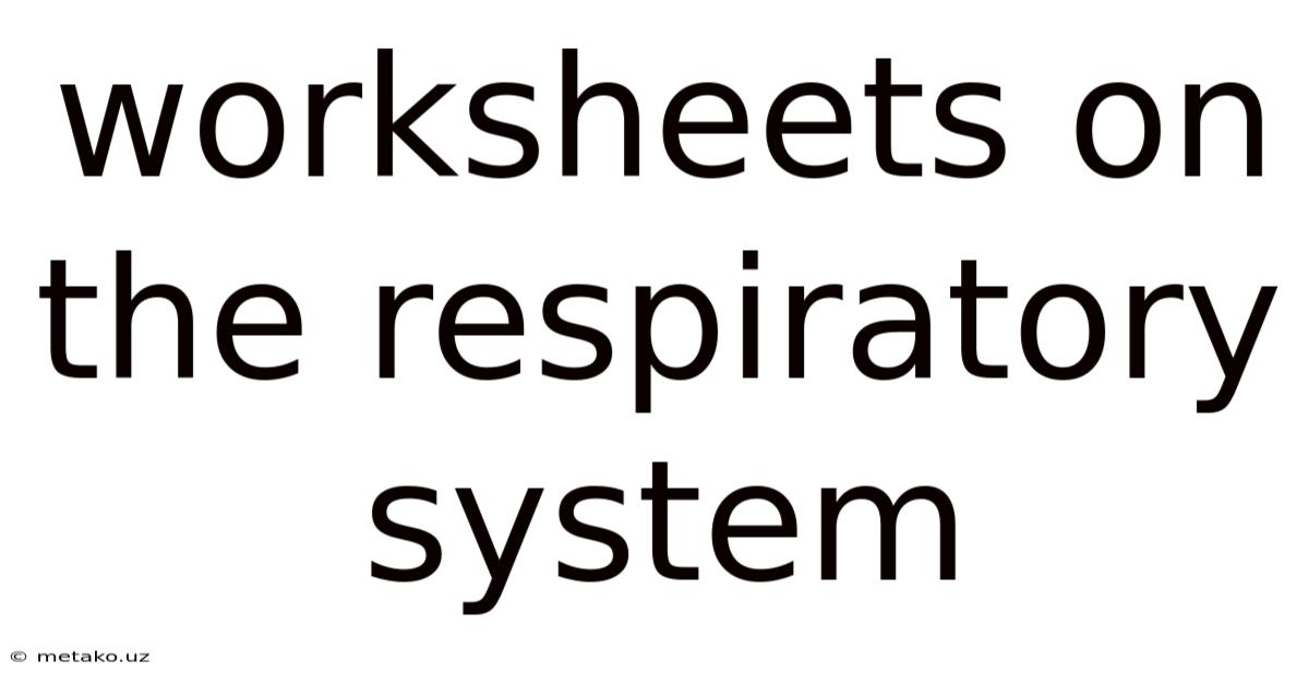 Worksheets On The Respiratory System
