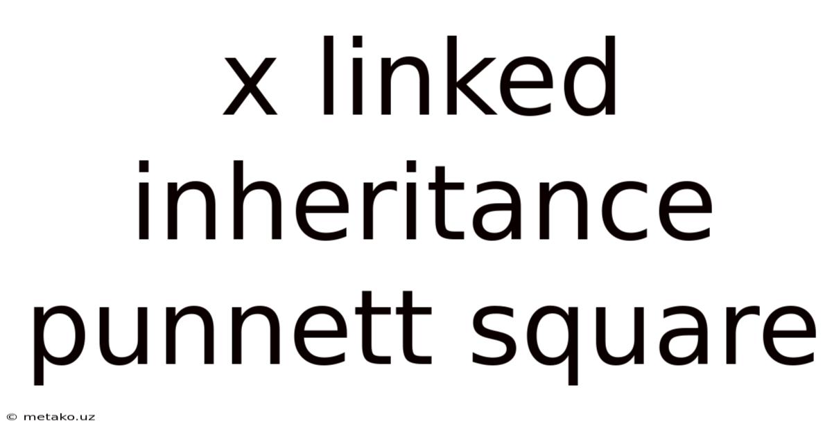 X Linked Inheritance Punnett Square