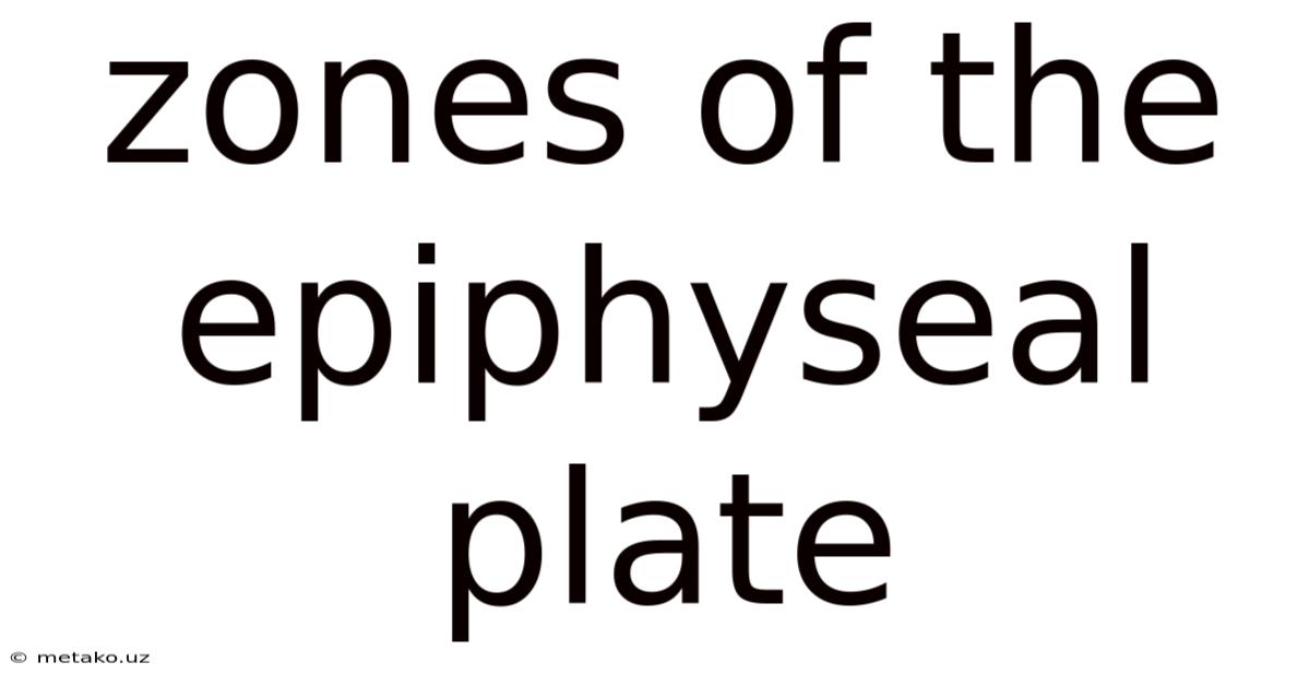Zones Of The Epiphyseal Plate